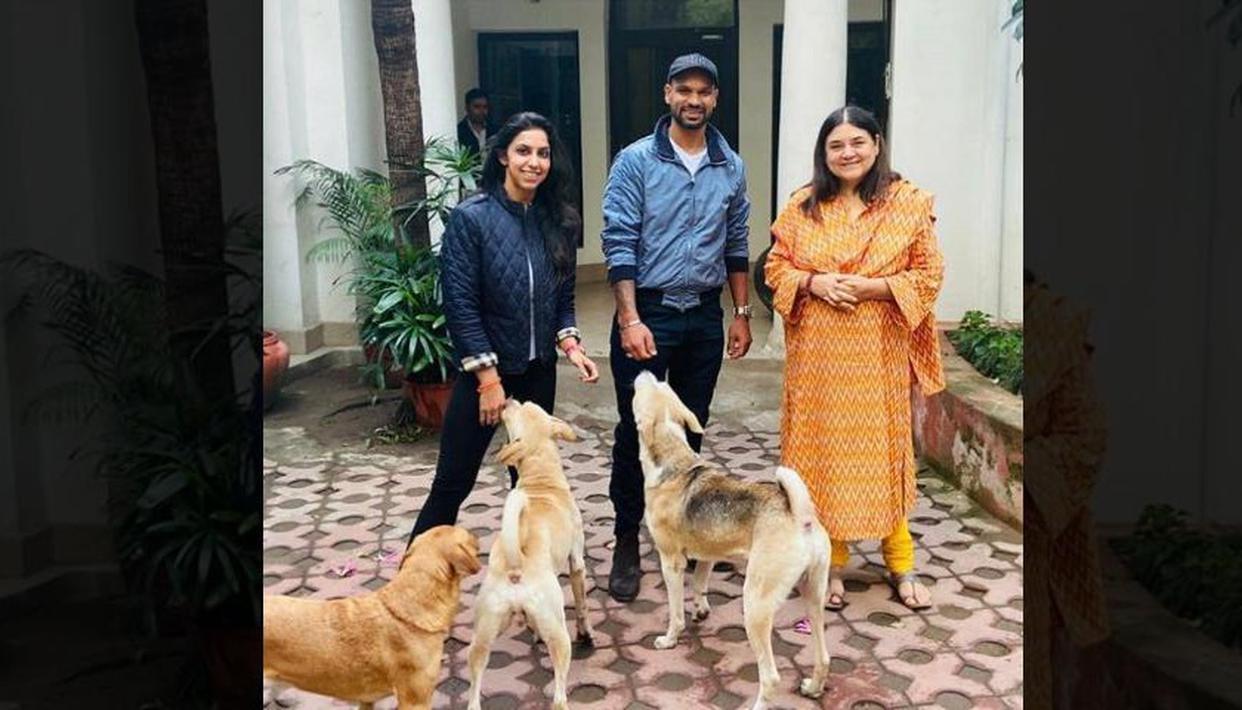 Shikhar Dhawan, India, Pets, social media