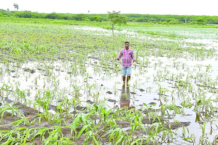 floods at krishna district