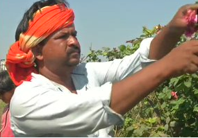 Flowers farmers in Rajkot